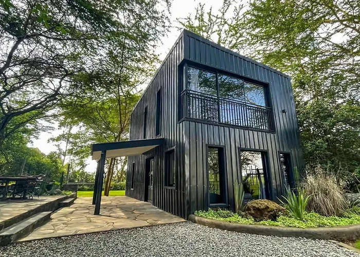 The Shed